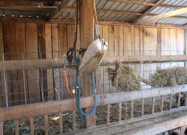 225 Fulkerson Road Horse Cave, KY 42749 - Photo 20 of 25 Gallery Image 20