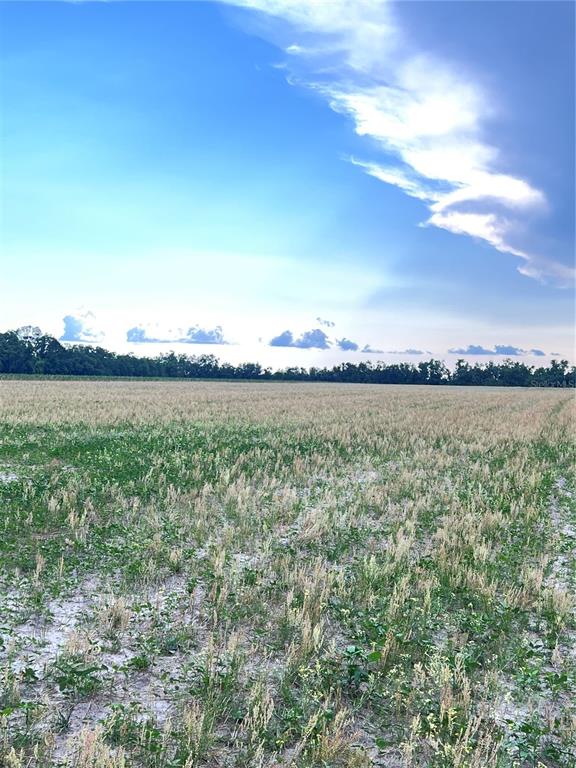 217th Road Live Oak, FL 32060 - Photo 1 of 1 Gallery Image 1