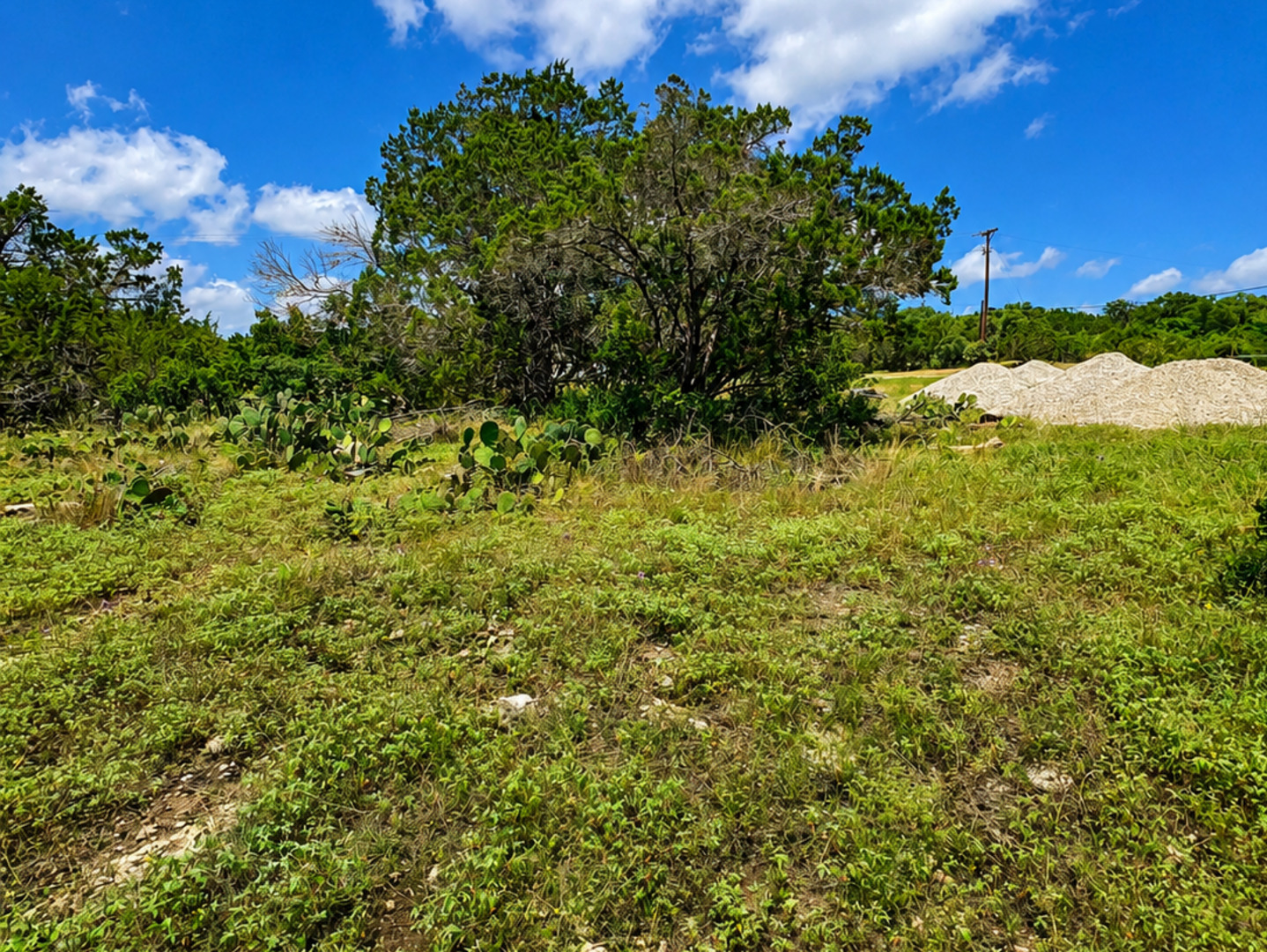 6718 Spring Branch Road Spring Branch, TX 78070 - Photo 4 of 6