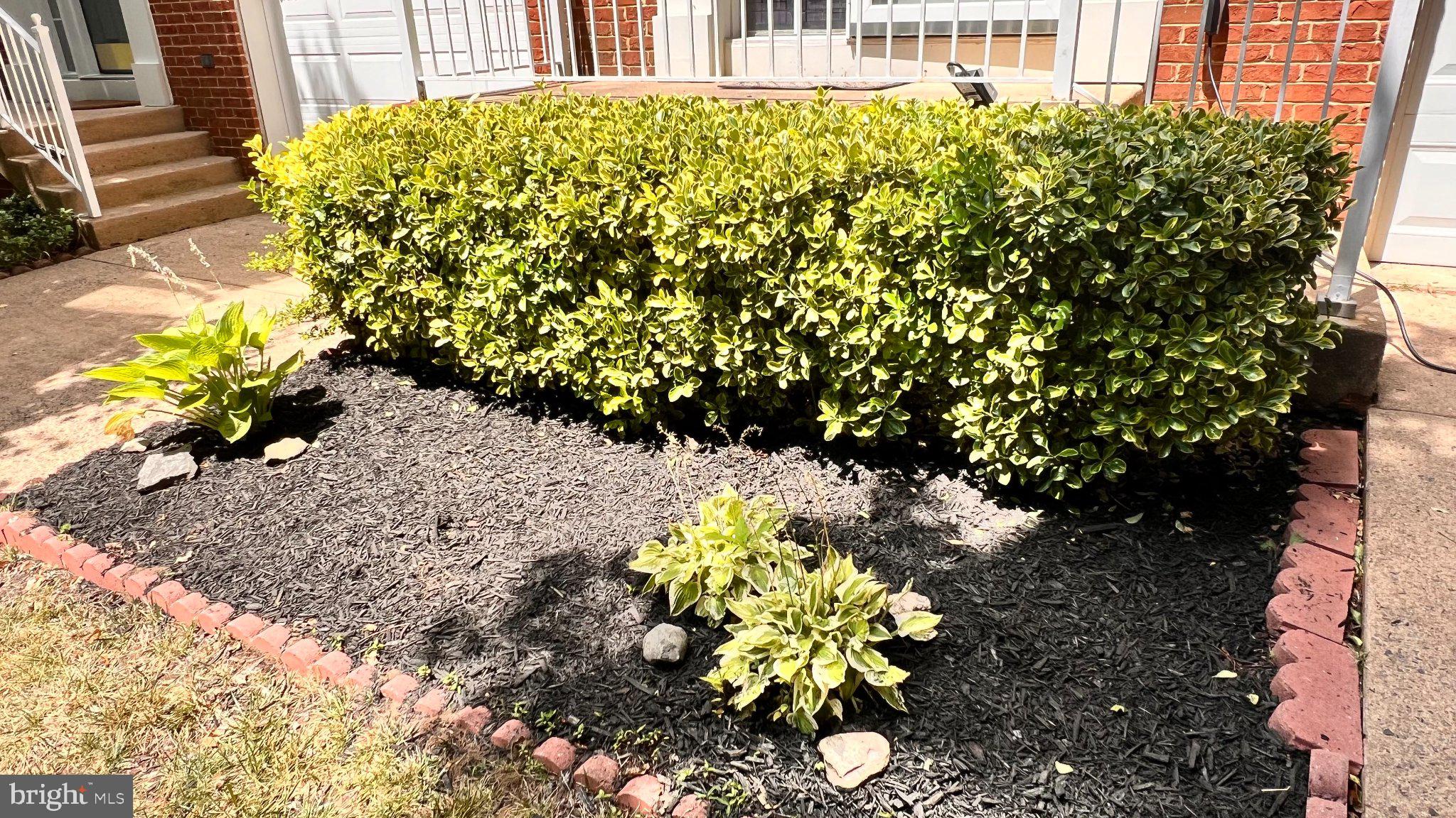 4100 Flower Fairfax, VA 22030 - Photo 39 of 48 Lush greenery frames a welcoming entry.