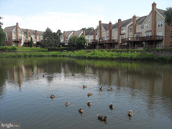 4100 Flower Fairfax, VA 22030 - Photo 48 of 48 Tranquil waterside living with ducks.