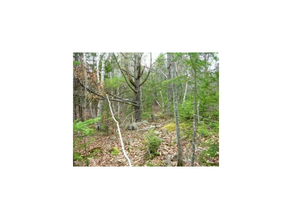 0 New Biddeford Road Kennebunkport, ME 04046 - Photo 4 of 5 Photo