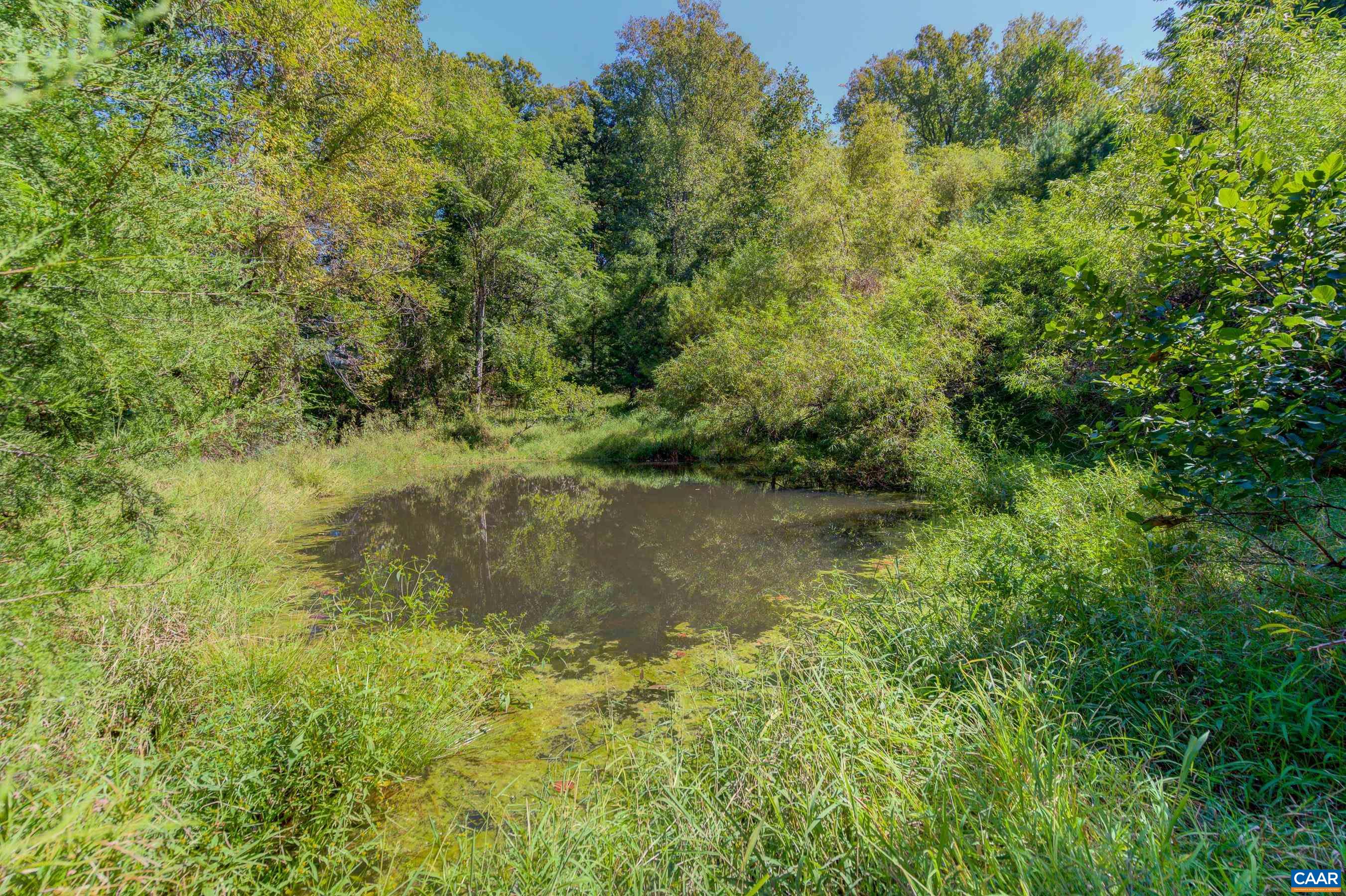 1265 Pounding Creek Road Charlottesville, VA 22903 - Photo 63 of 71