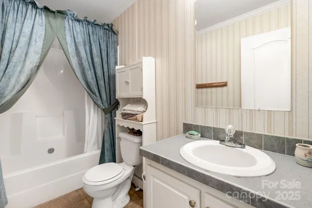 a bathroom with a sink a toilet and a tub