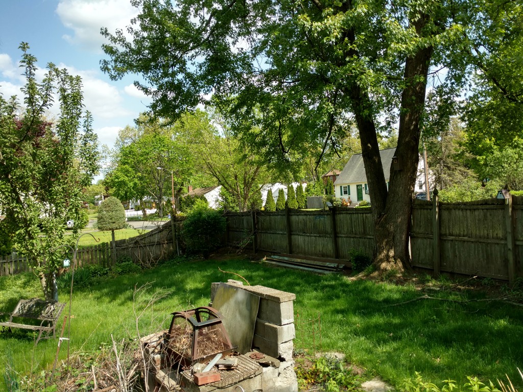 121 Jeffrey Road Springfield, MA 01119 - Photo 11 of 11