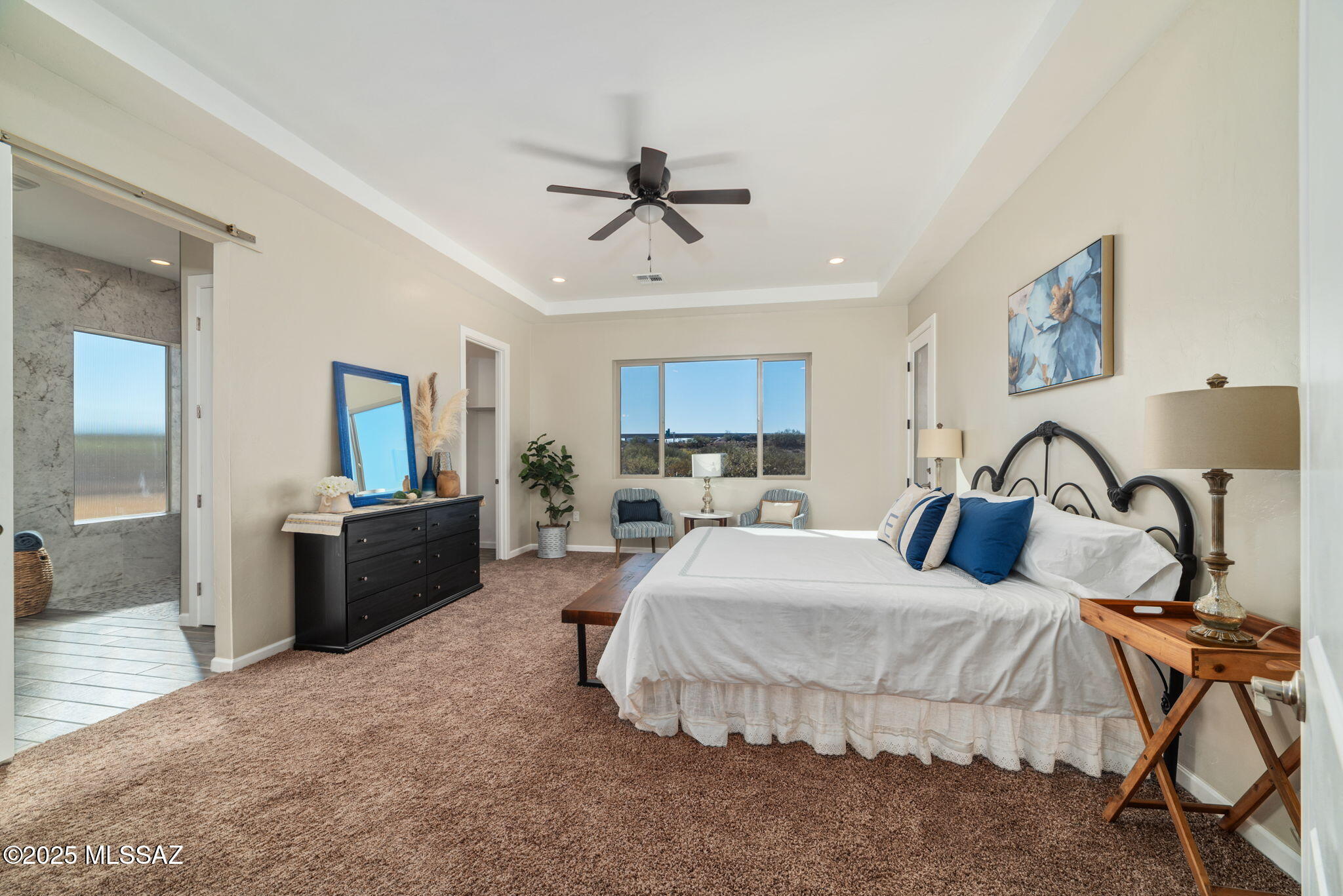 14398 East Sands Ranch Road Vail, AZ 85641 - Photo 22 of 47 Gallery Image 22