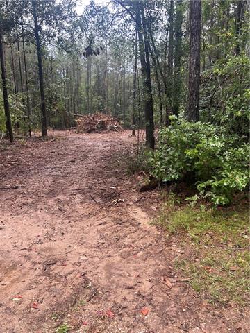 Tbd South Bennett Road Independence, LA 70443 - Photo 2 of 6 Gallery Image 2