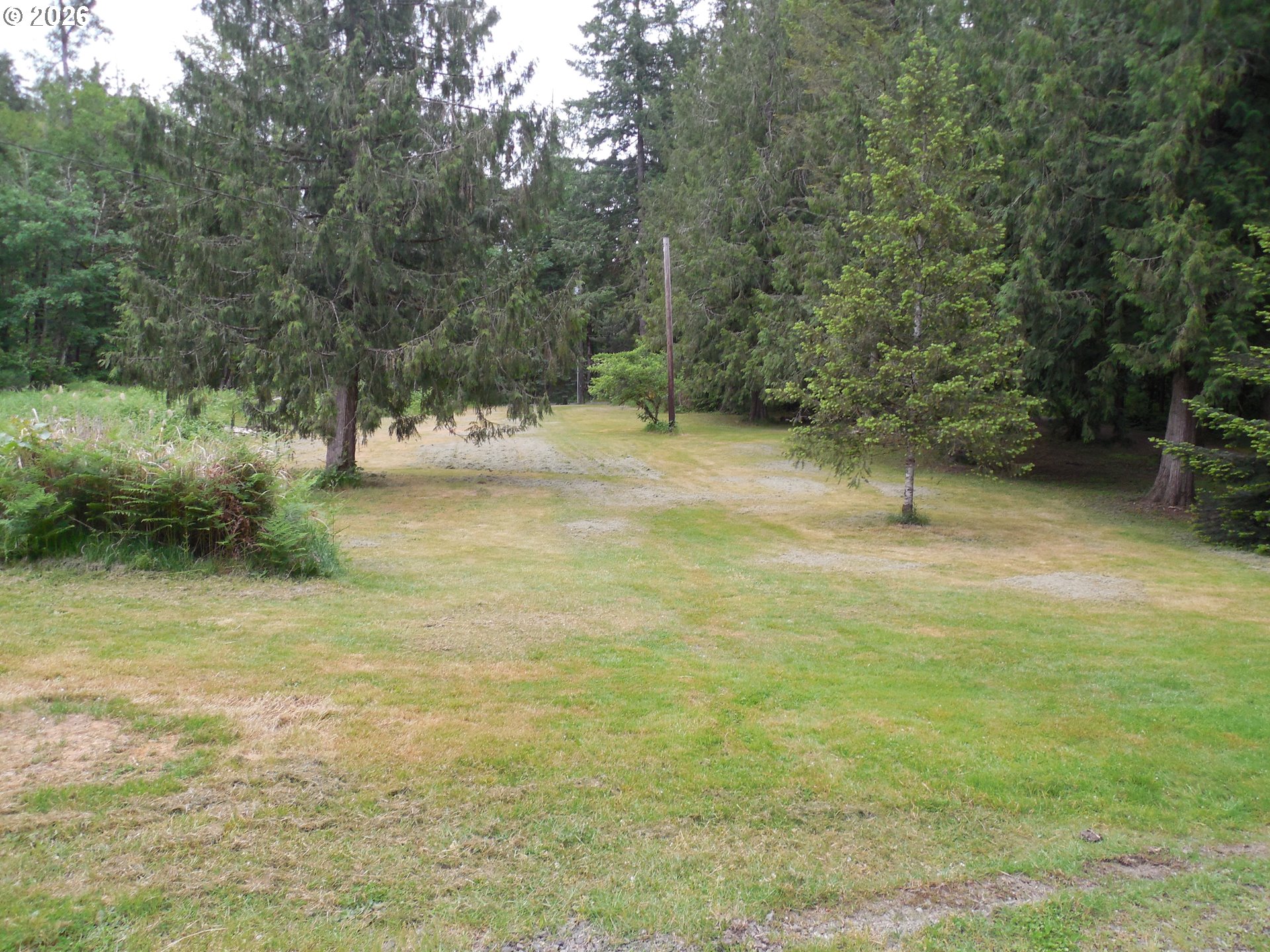 41180 Southeast Kubitz Road Sandy, OR 97055 - Photo 34 of 35 a view of a yard with a tree
