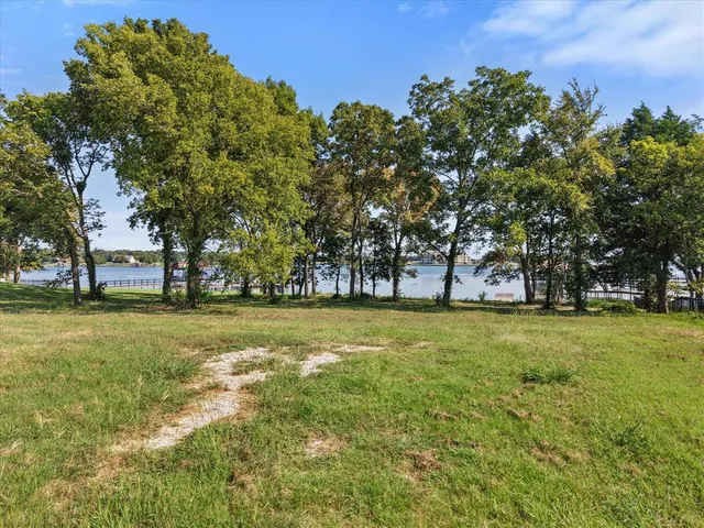 a view of a trees with a big yard