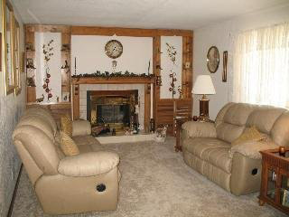 Bx207 Rr1 Clinton, IL 61727 - Photo 4 of 9 a living room with furniture and a fireplace