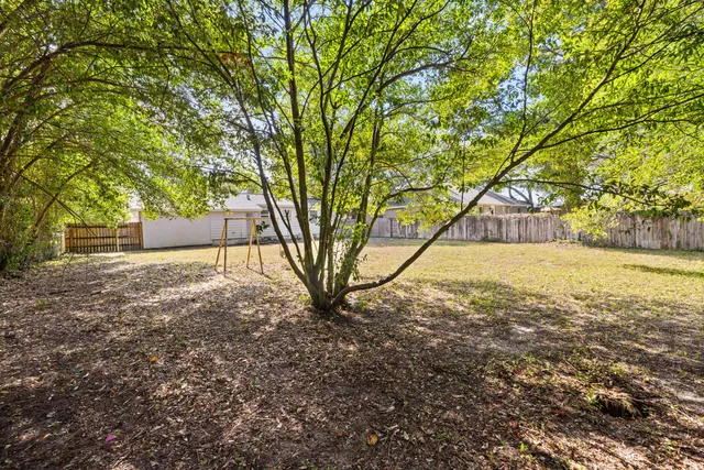 a view of a yard with trees
