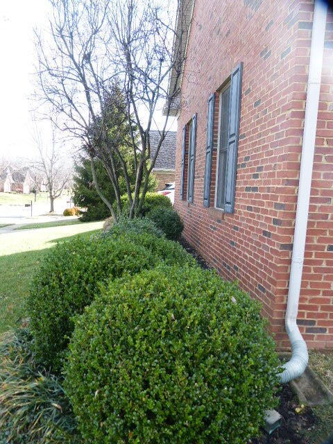 3225 Ridgecane Road Lexington, KY 40513 - Photo 32 of 60 P1070142