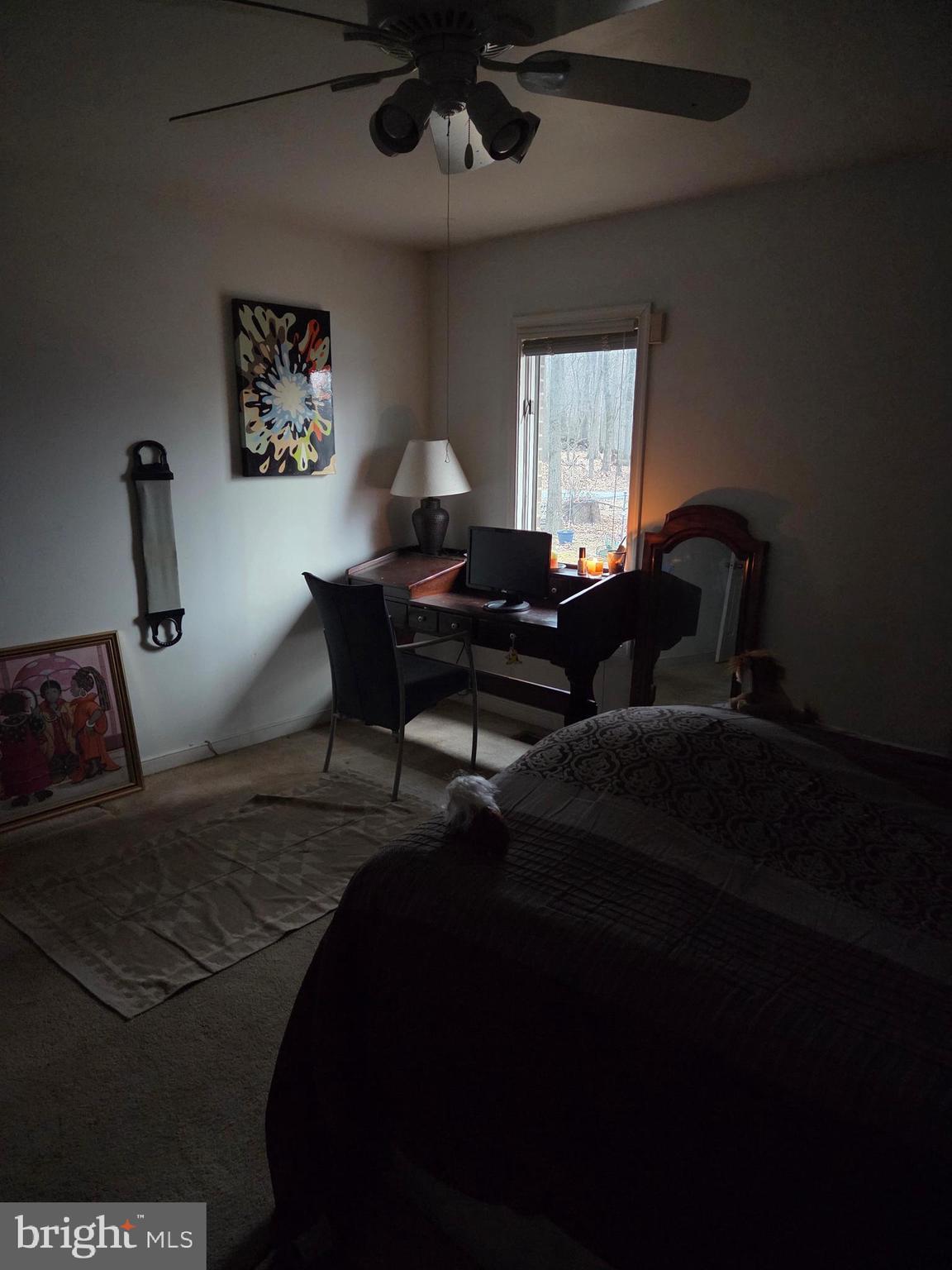 21025 Woodfield Road Gaithersburg, MD 20882 - Photo 14 of 30 Furnished Bedroom