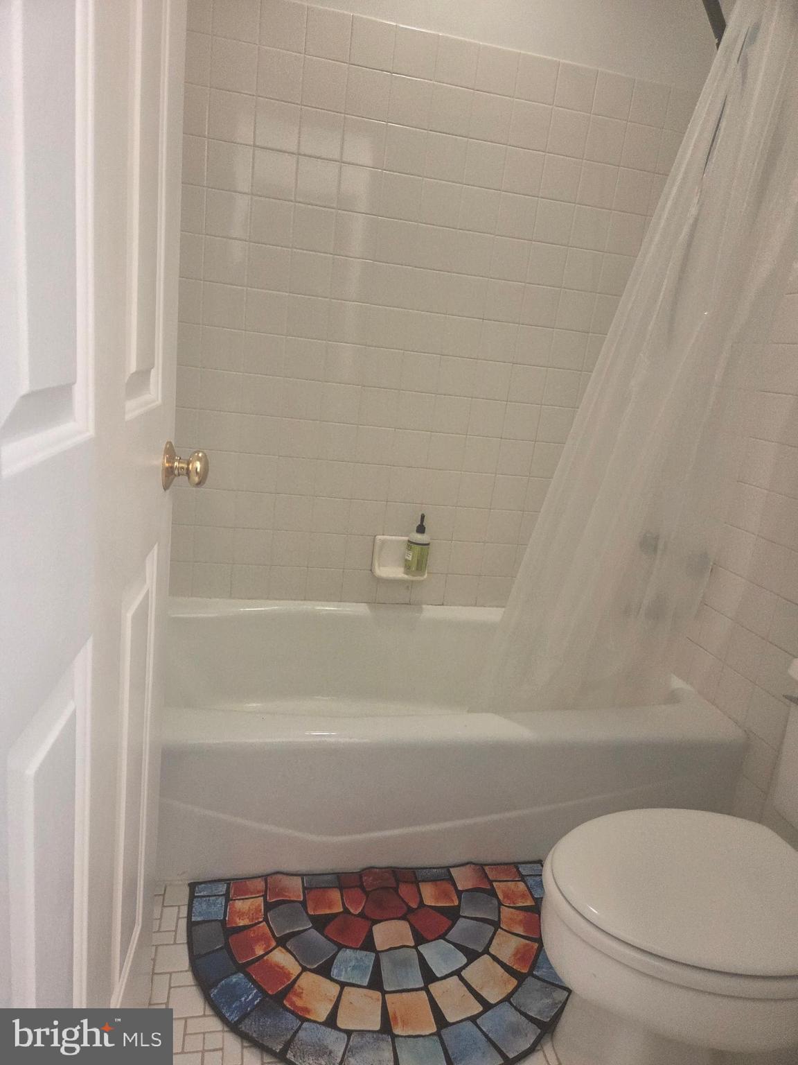 21025 Woodfield Road Gaithersburg, MD 20882 - Photo 2 of 30 Large Bathroom