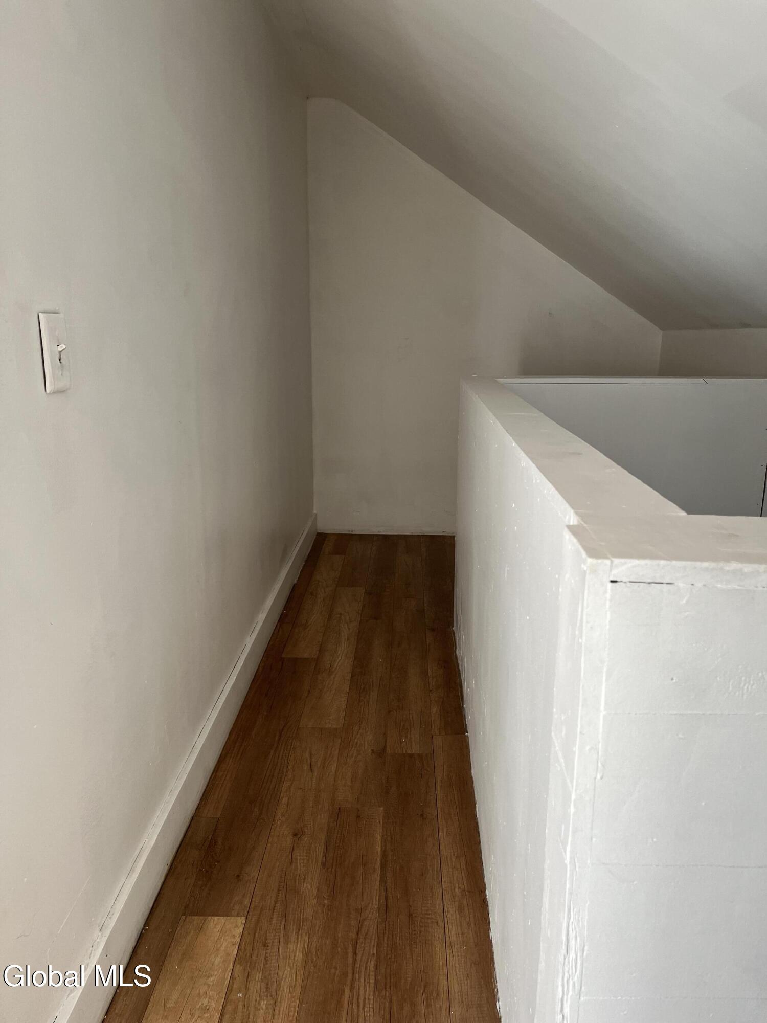 154 Spring Street, Unit 3 Albany, NY 12203 - Photo 17 of 21 IMG_5733