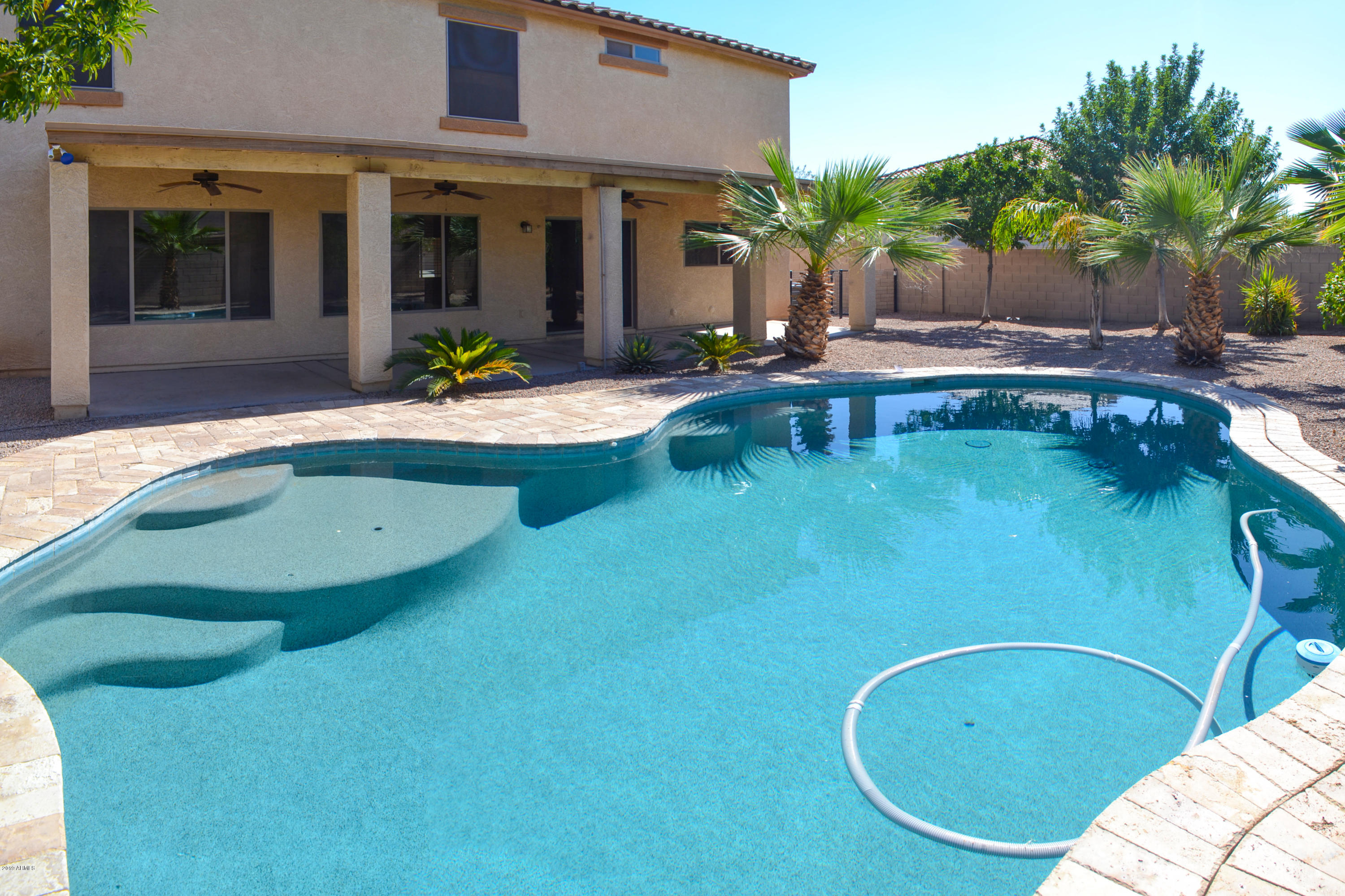 01 Back Yard