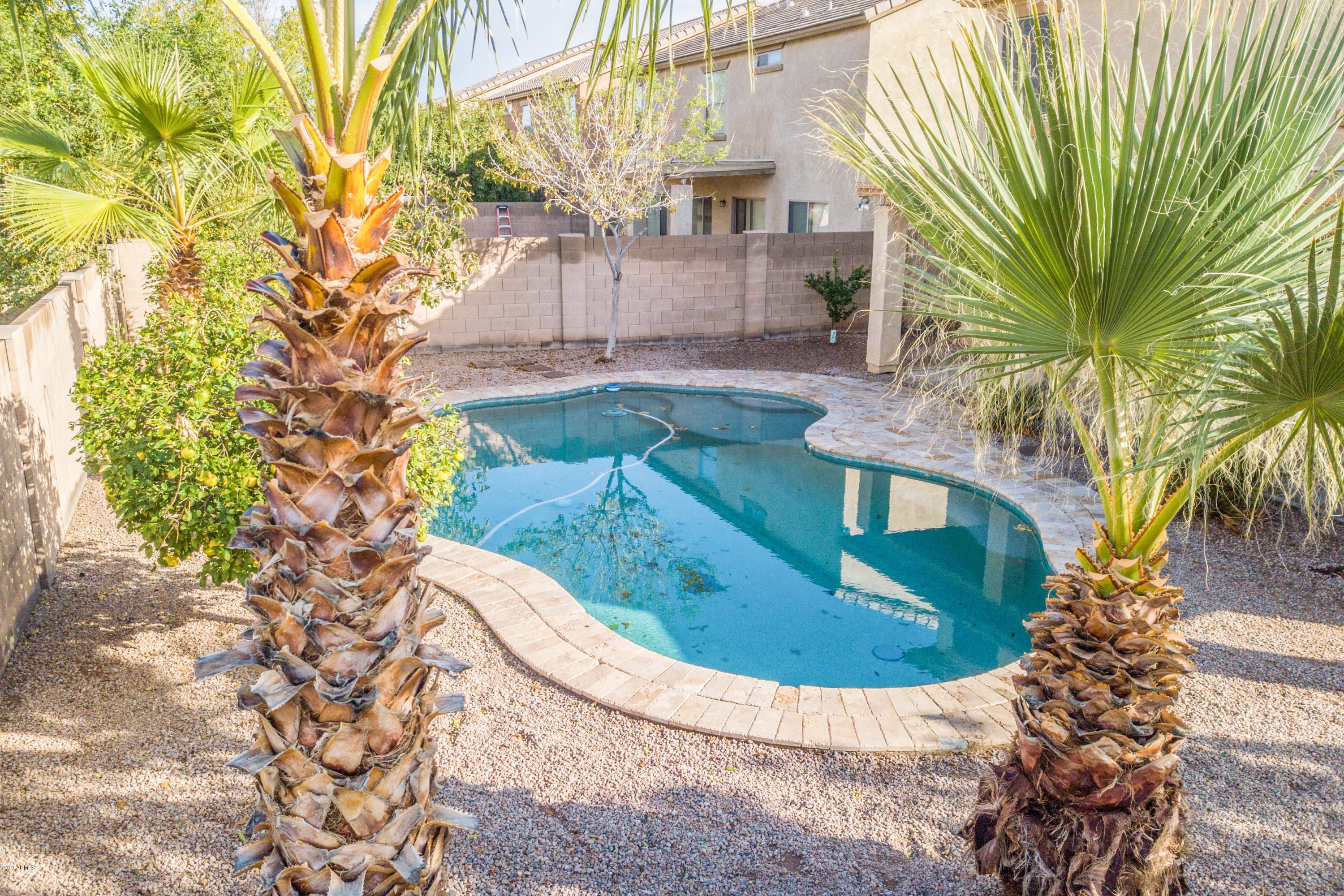 43336 West Magnolia Road Maricopa, AZ 85138 - Photo 34 of 35 34 Back Yard