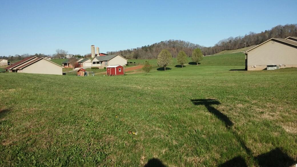 6509 Peterson Road Greenback, TN 37742 - Photo 3 of 5 Right, front corner 2.jpg