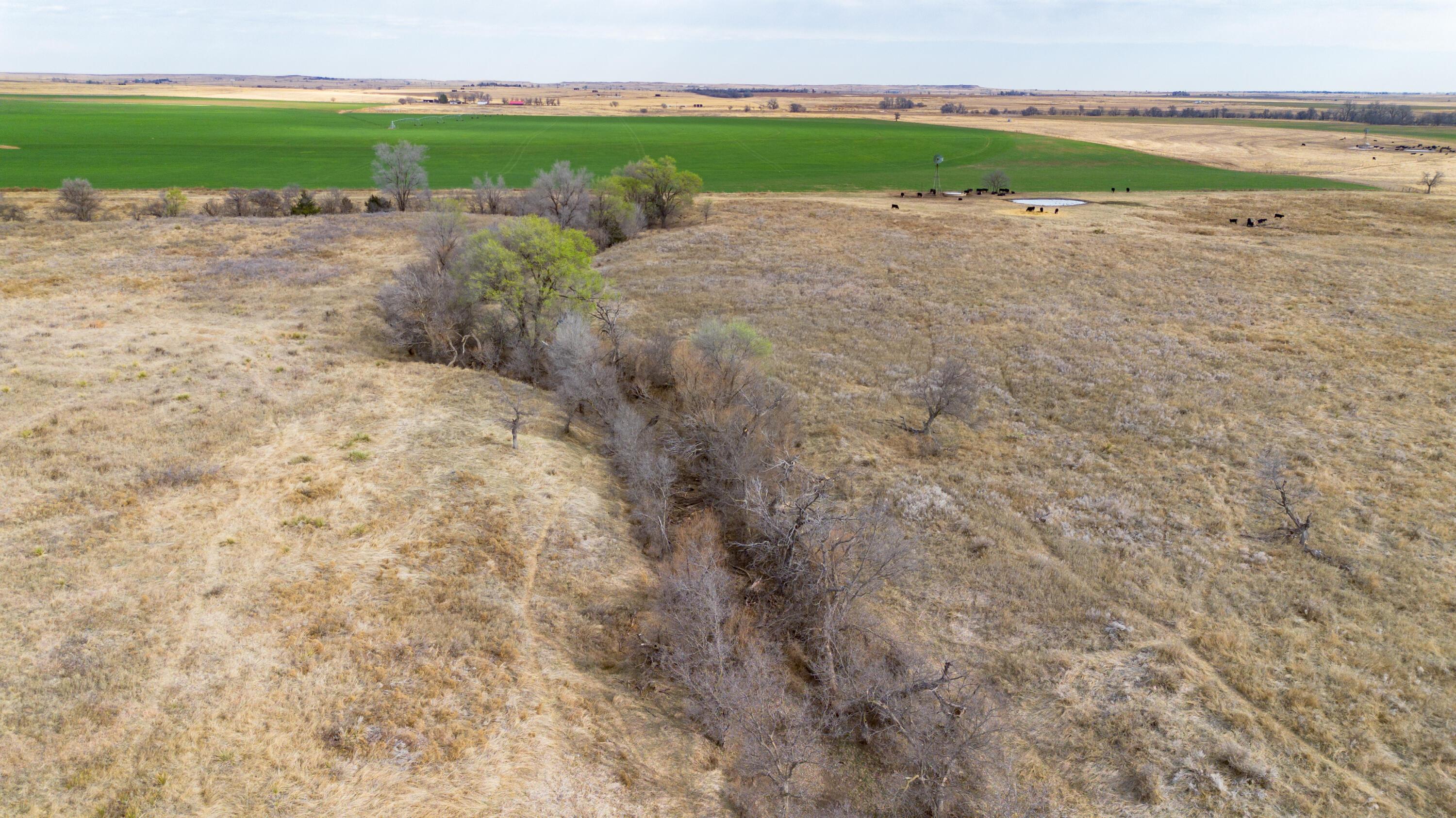 Dodd Farm Mobeetie, TX 79061 - Photo 14 of 46 a view of a lake with beach
