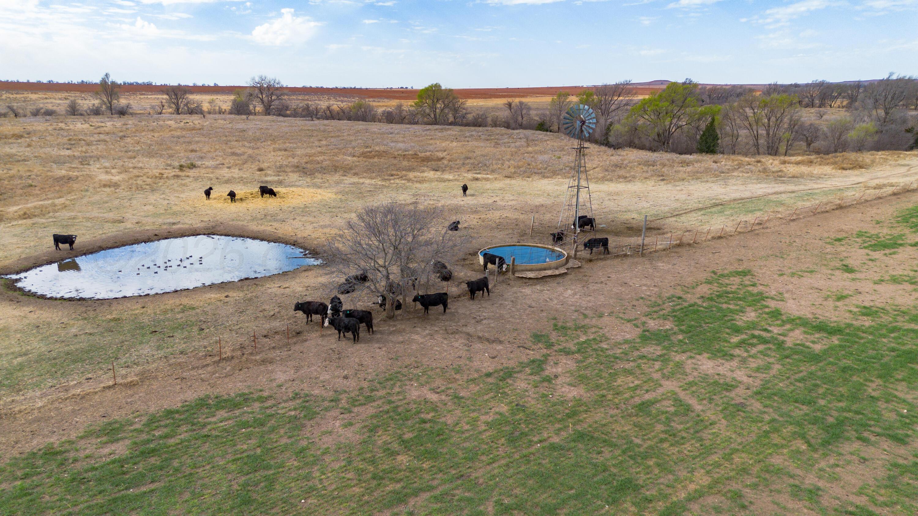 Dodd Farm Mobeetie, TX 79061 - Photo 17 of 46 a view of a backyard with lawn chairs