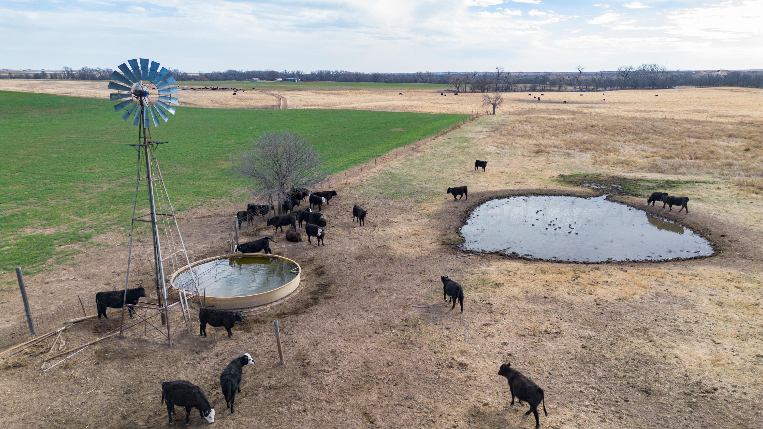 Dodd Farm Mobeetie, TX 79061 - Photo 18 of 46 a backyard of a house with table and chairs