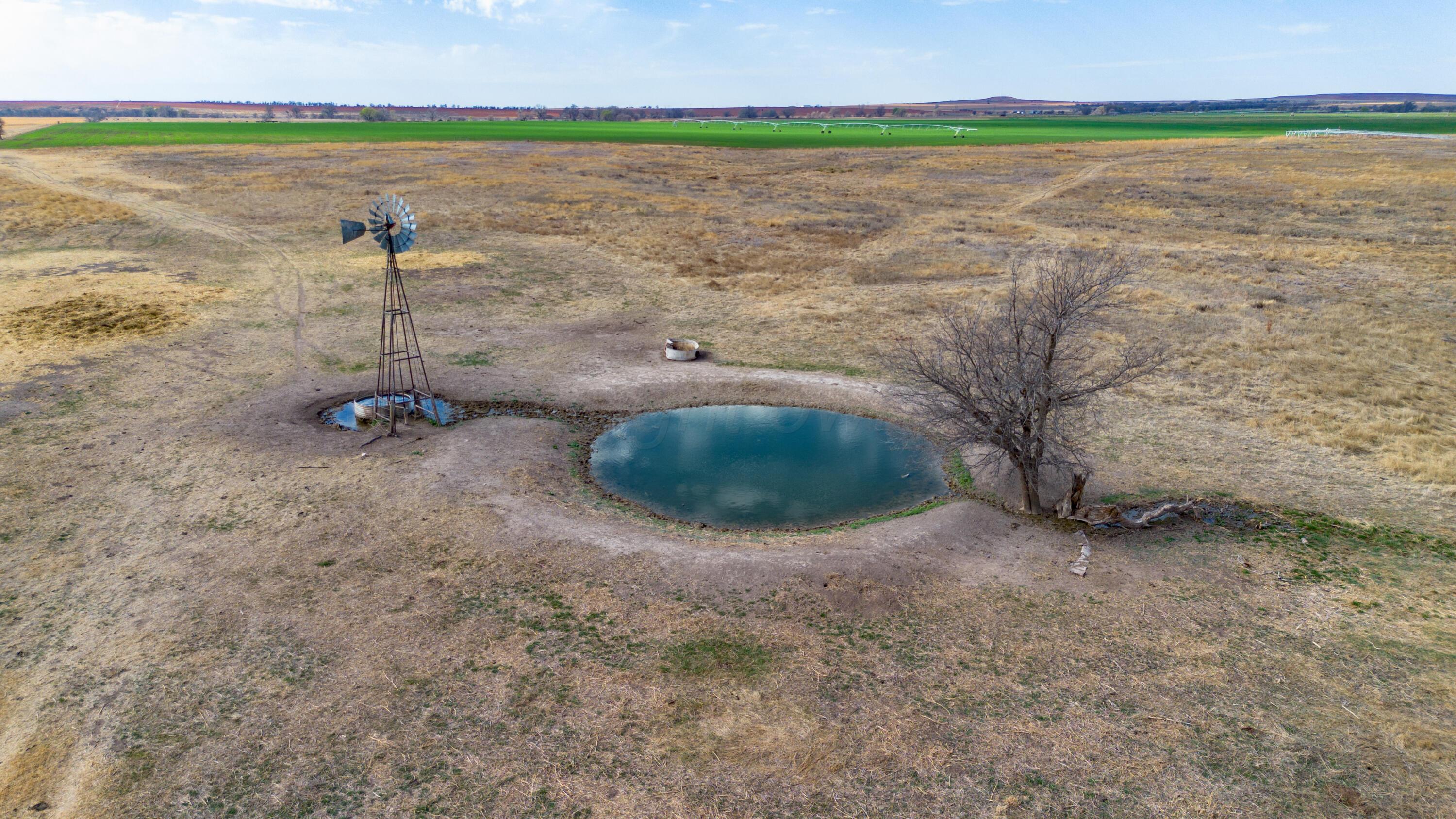 Dodd Farm Mobeetie, TX 79061 - Photo 19 of 46 a view of a lake with a yard