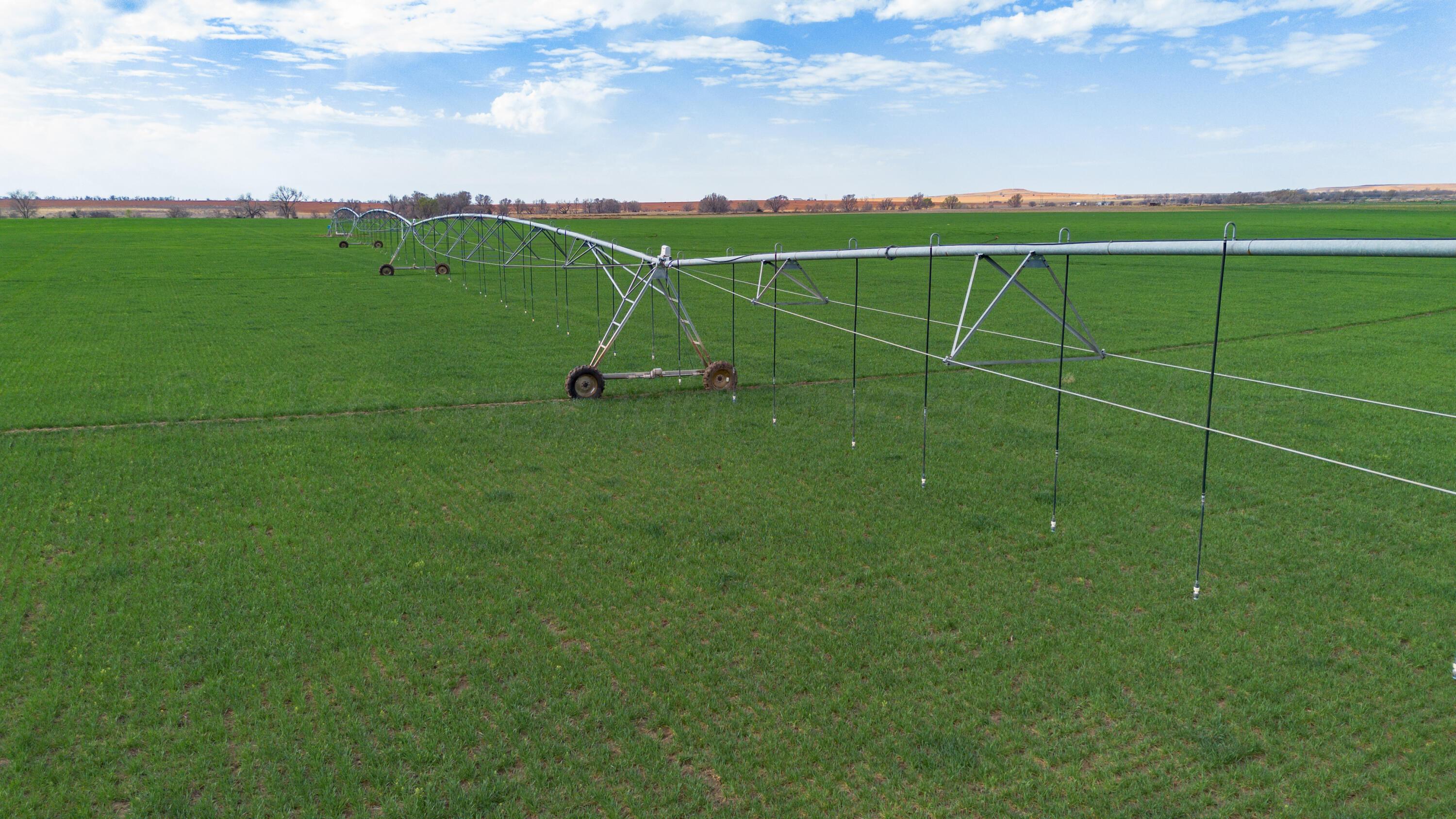 Dodd Farm Mobeetie, TX 79061 - Photo 2 of 46 a view of a field with clear sky