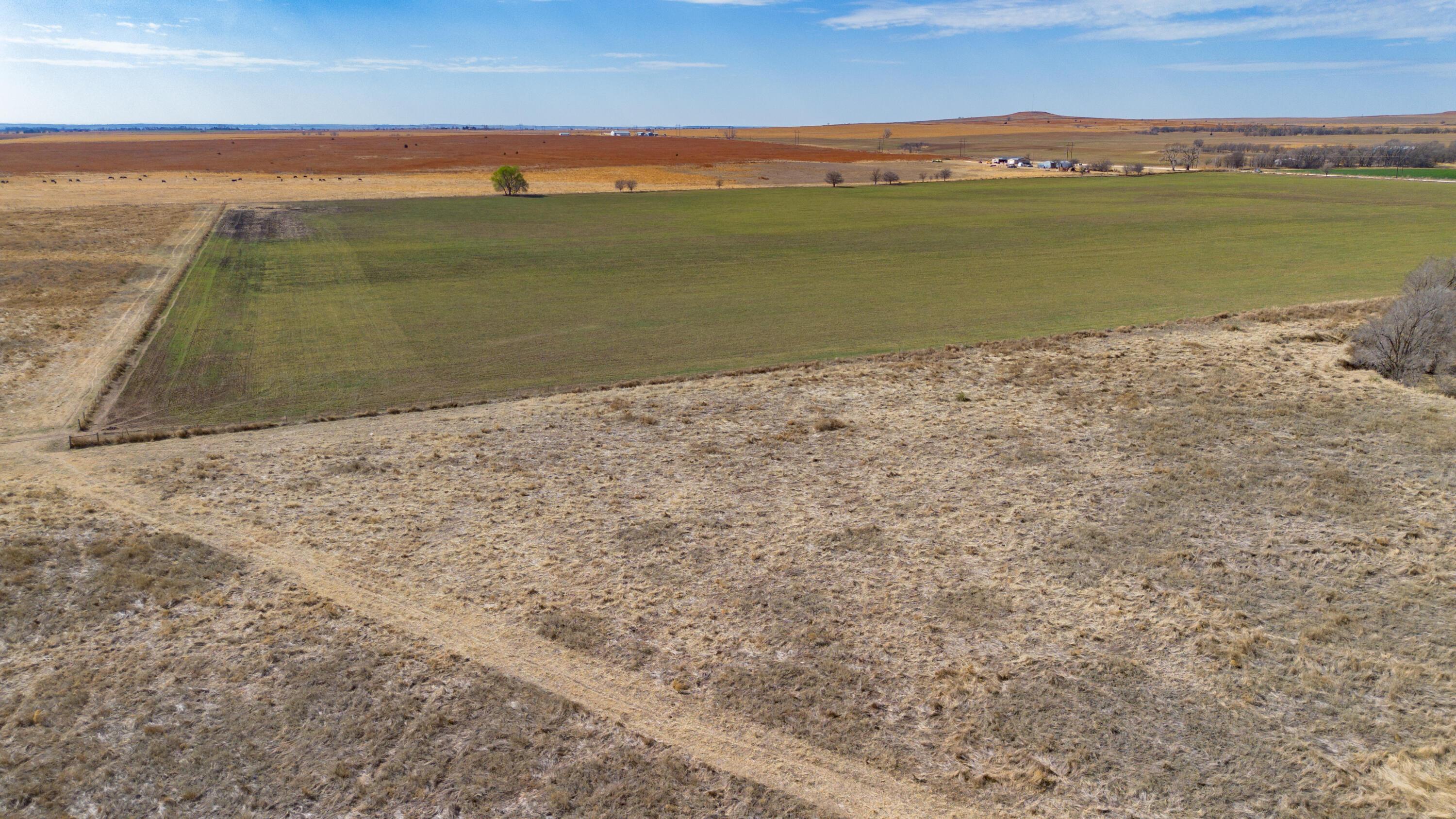 Dodd Farm Mobeetie, TX 79061 - Photo 36 of 46 a view of an ocean beach