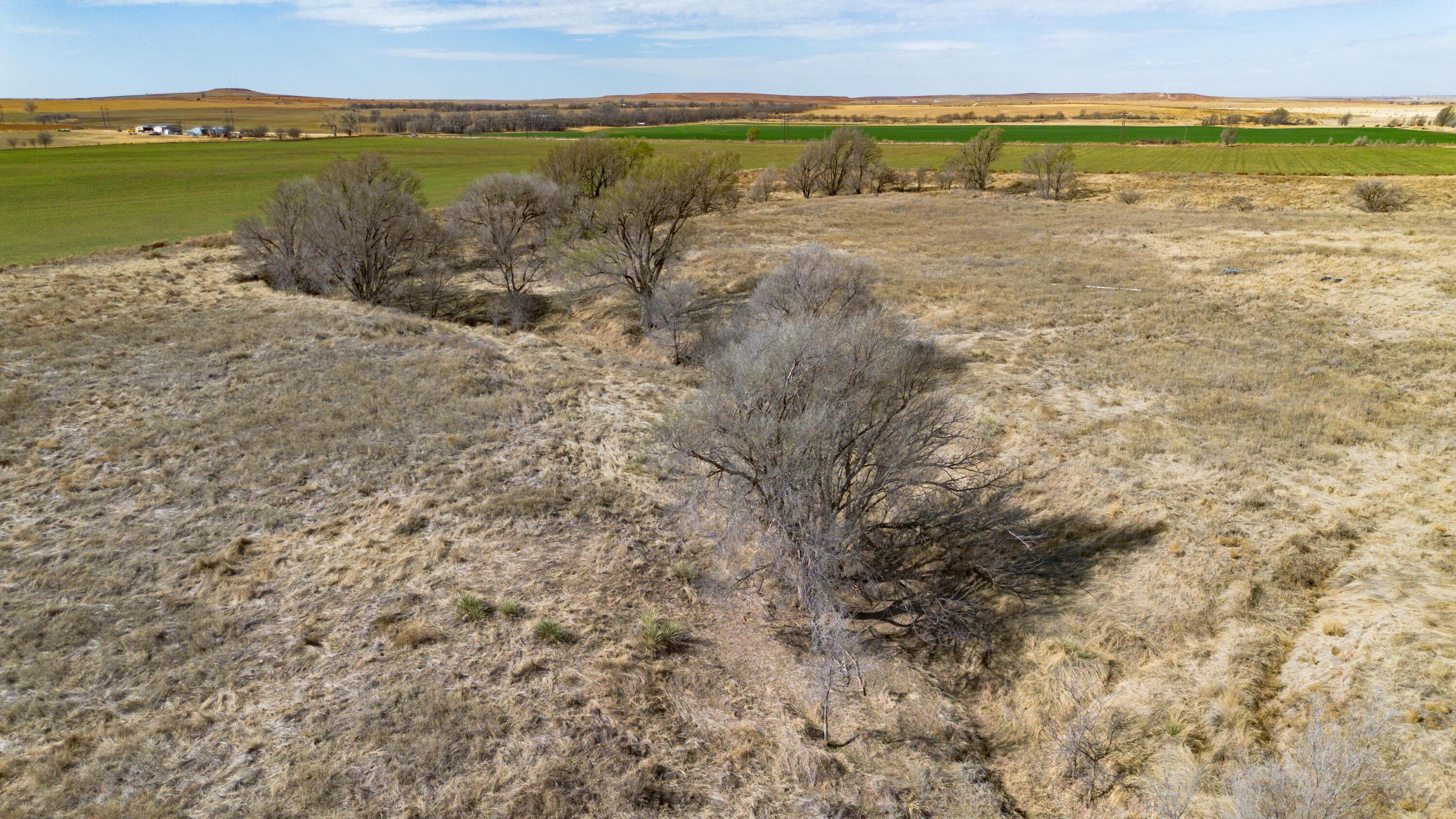 Dodd Farm Mobeetie, TX 79061 - Photo 37 of 46