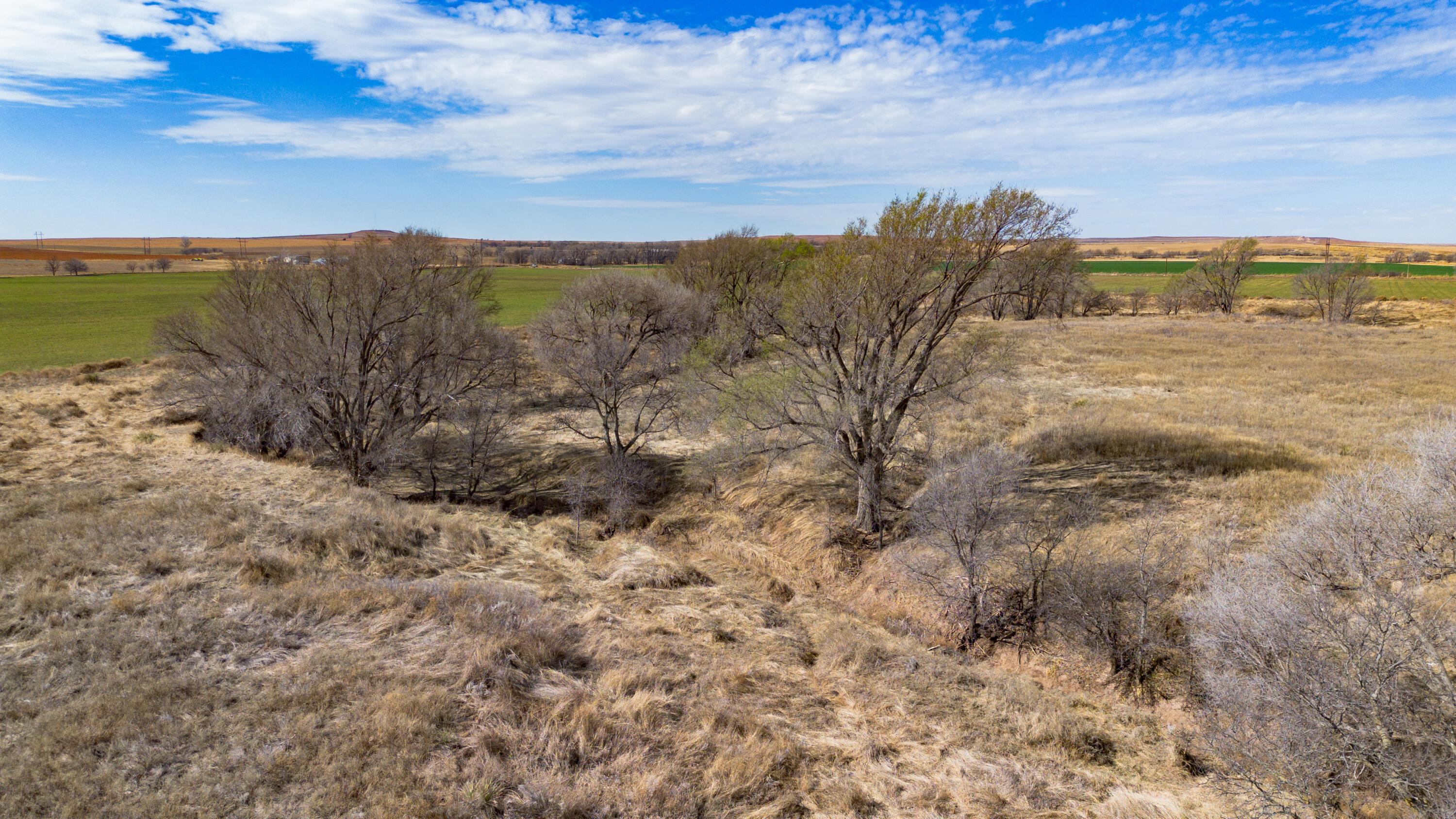 Dodd Farm Mobeetie, TX 79061 - Photo 38 of 46 a view of ocean