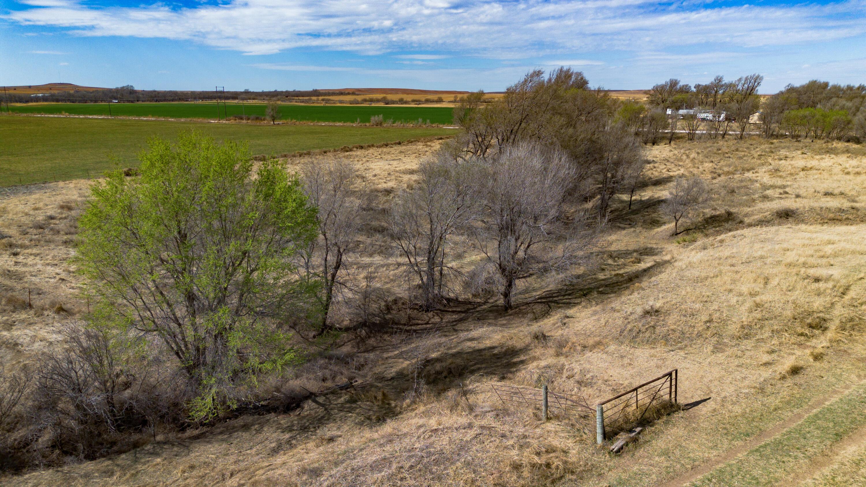 Dodd Farm Mobeetie, TX 79061 - Photo 41 of 46 a view of a yard with an outdoor space