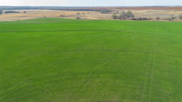 $1,629,000 | Dodd Farm, Mobeetie, TX 79061