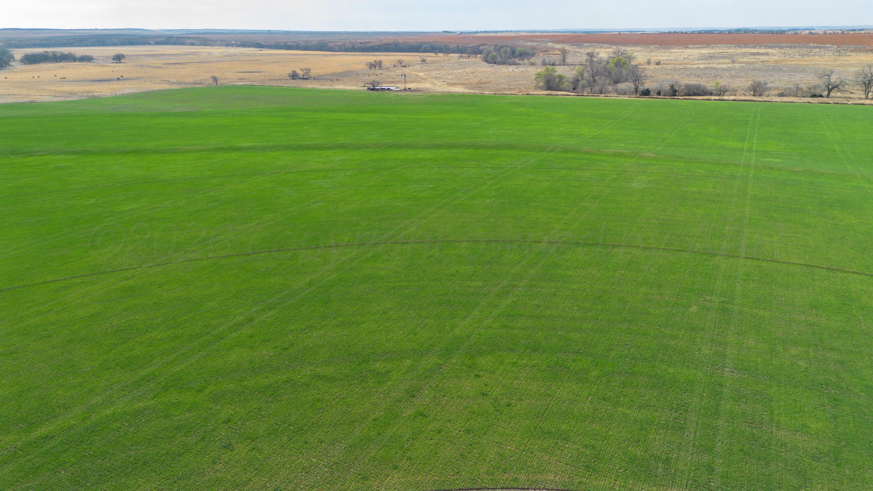 Dodd Farm Mobeetie, TX 79061 - Photo 5 of 46 a view of a field with an outdoor space