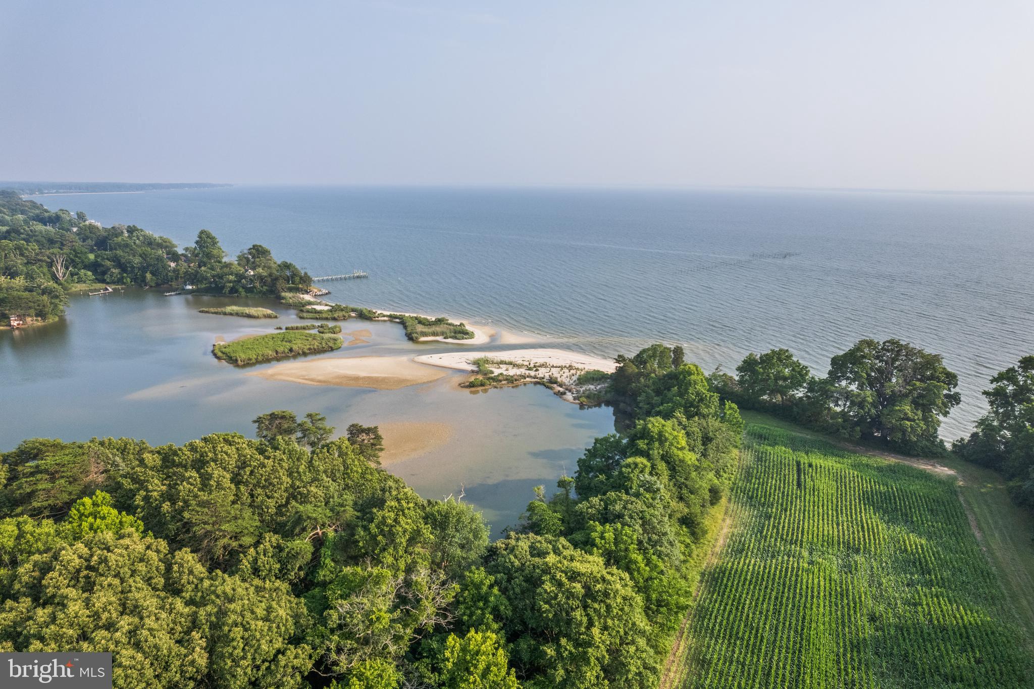 19700 Mulberry Fields Road Leonardtown, MD 20650 - Photo 79 of 137 Aerial of Shore Line