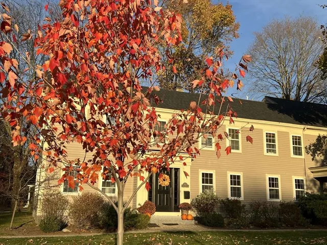 a front view of a house with a yard and potted plants