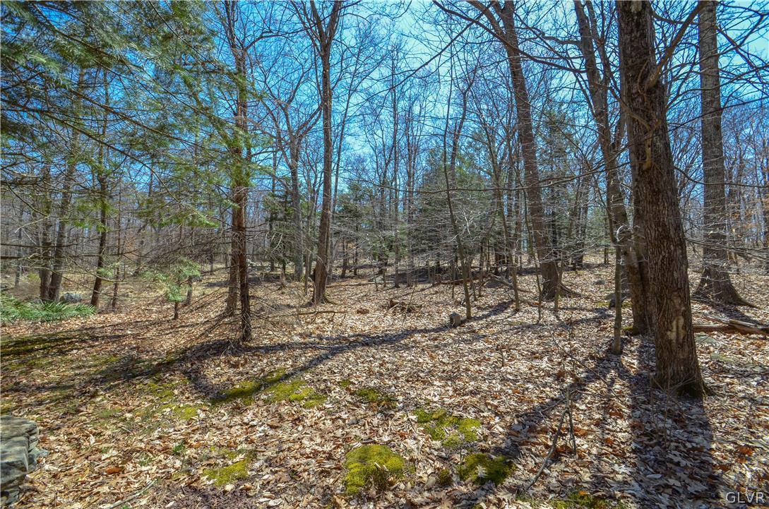 155 Lookout Point Road Canadensis, PA 18325 - Photo 27 of 30 Gallery Image 27