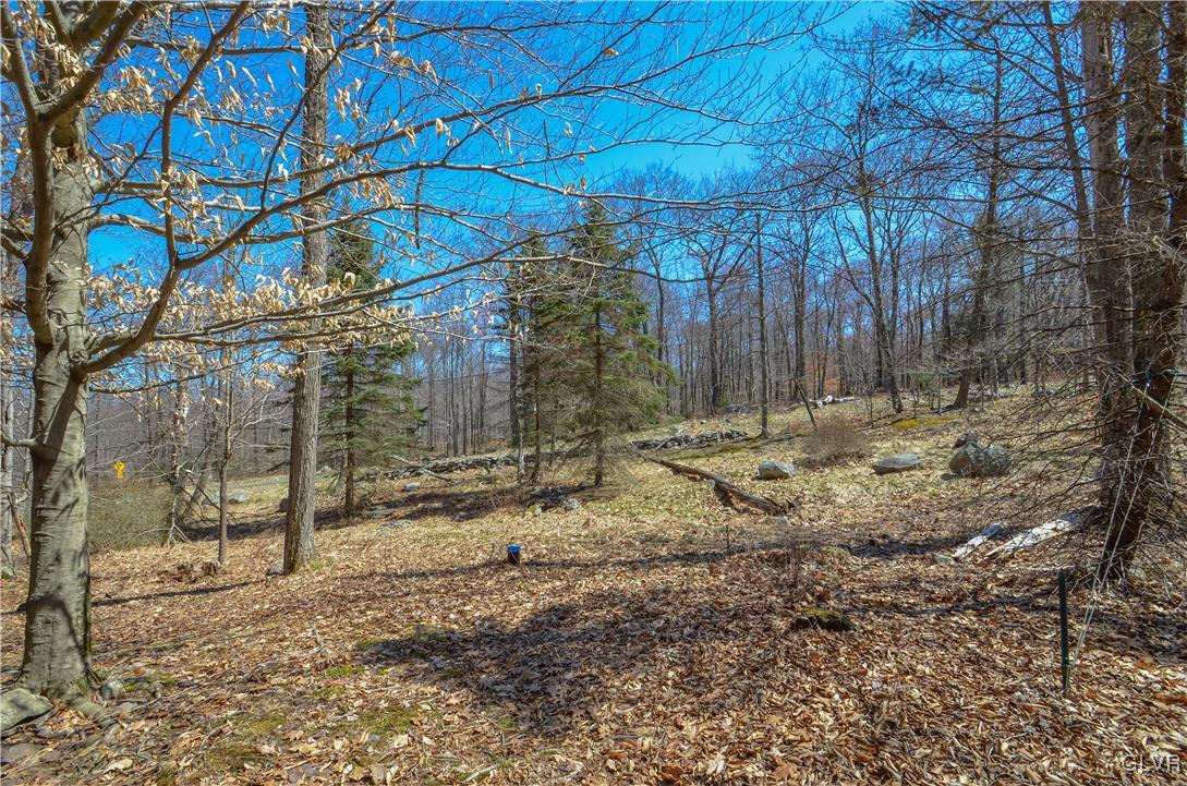 155 Lookout Point Road Canadensis, PA 18325 - Photo 28 of 30 Gallery Image 28