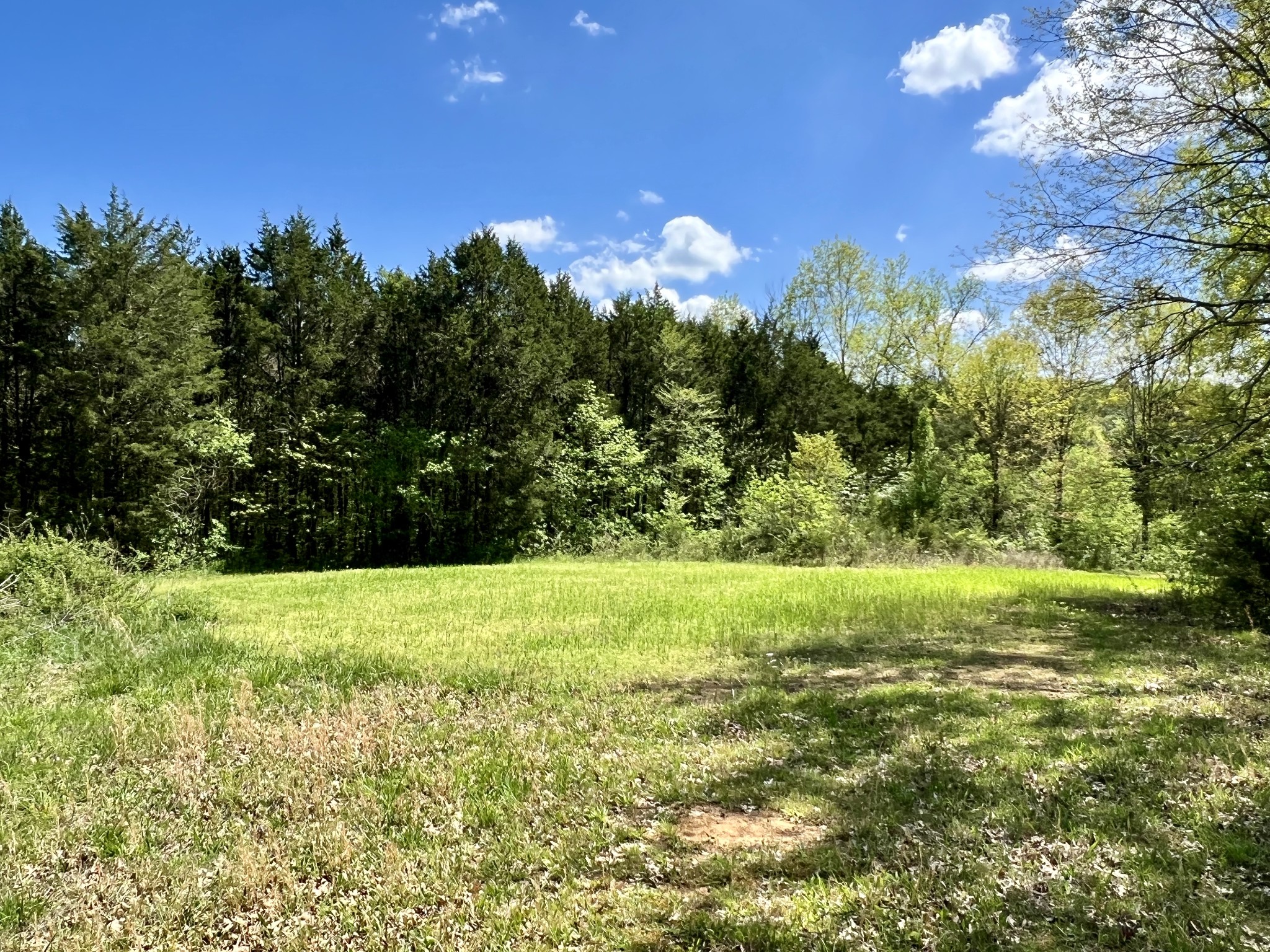 4552 Kedron Road Spring Hill, TN 37174 - Photo 12 of 21 a view of a yard with a tree
