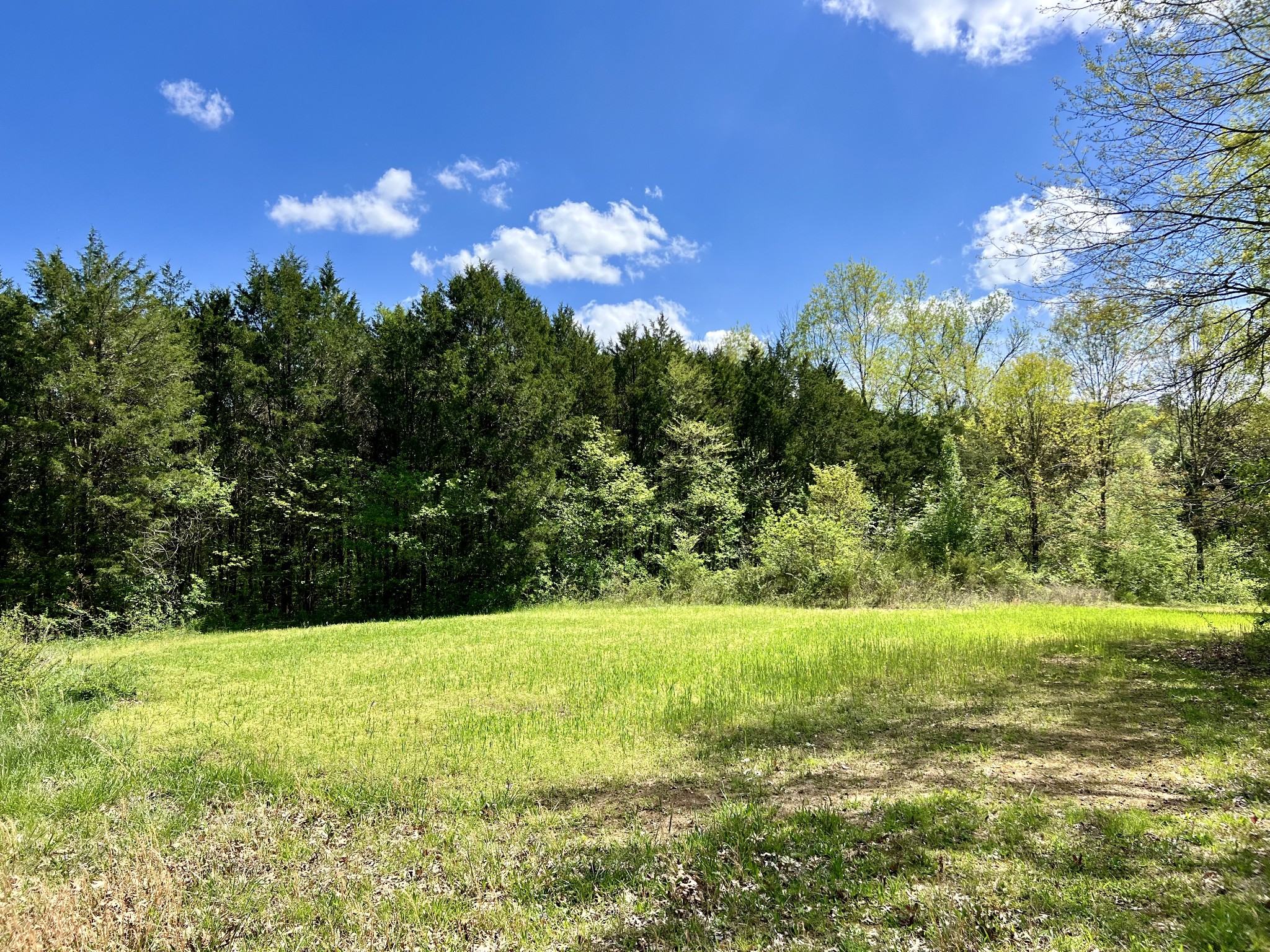 4552 Kedron Road Spring Hill, TN 37174 - Photo 13 of 21 a view of a big yard with swimming pool and green space