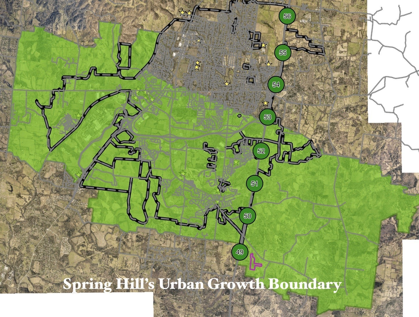 4552 Kedron Road Spring Hill, TN 37174 - Photo 20 of 21 a green field with flowers