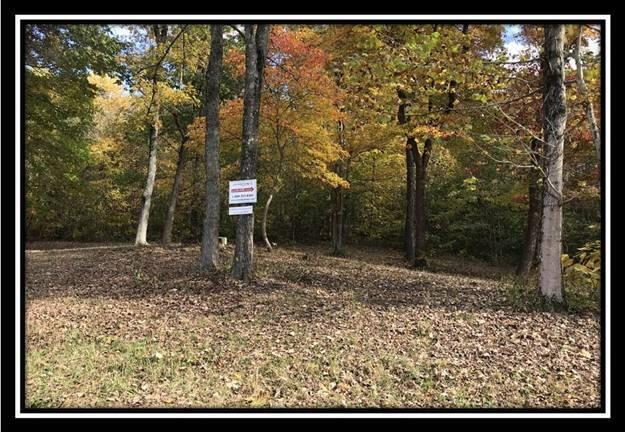 1476 Whetstone Road Bainbridge, OH 45612 - Photo 26 of 37 image026