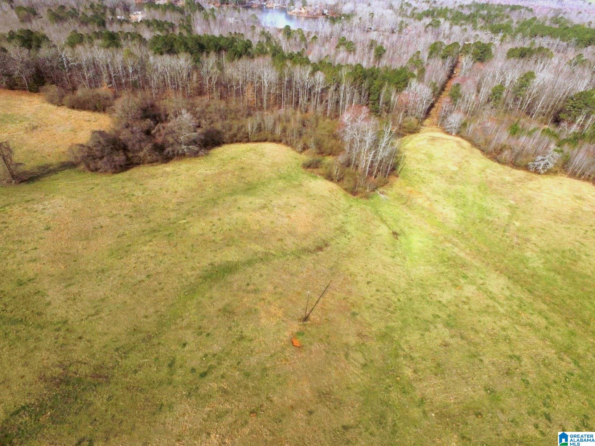 1500 Shiloh Church Road, Unit 81 95 ACRES Delta, AL 36258 - Photo 8 of 28