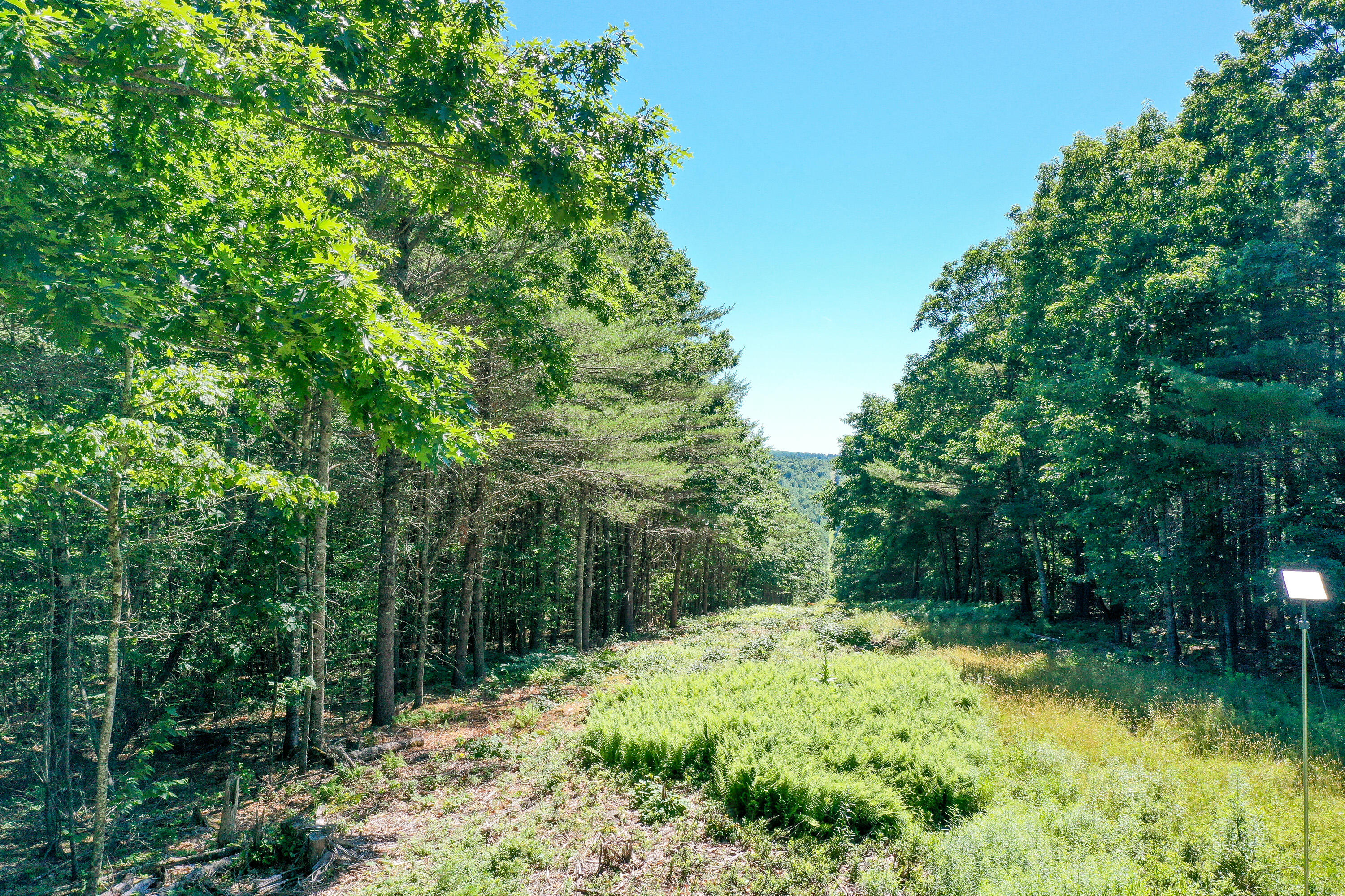 109 Dolloff Road Monroe, ME 04951 - Photo 23 of 35 0953