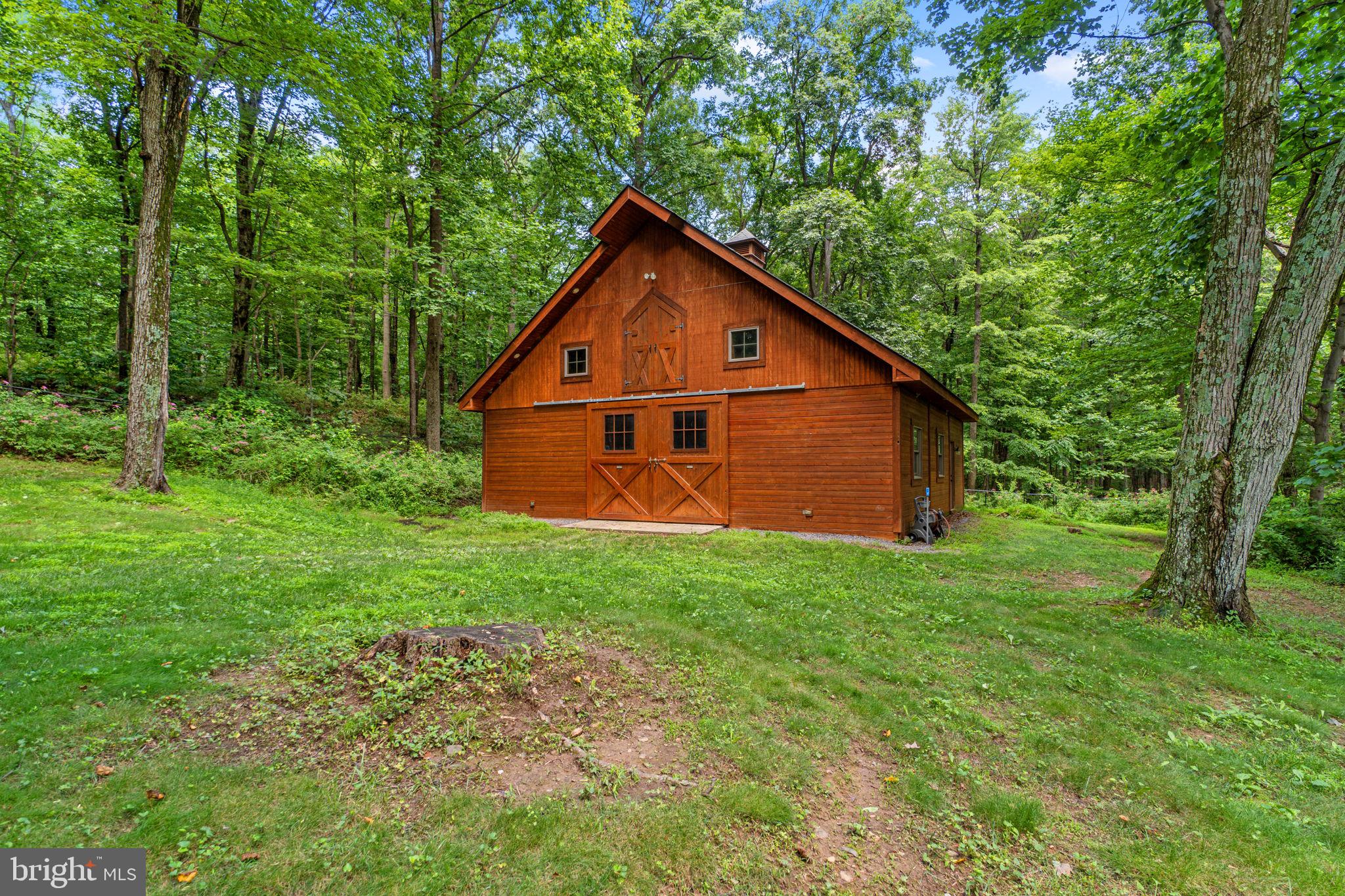 7341 Kehne Road Frederick, MD 21702 - Photo 60 of 67 a view of a backyard with large trees and plants
