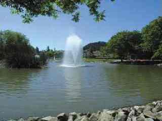 2723 Lakeview Drive Santa Rosa, CA 95405 - Photo 3 of 7 Gallery Image 3