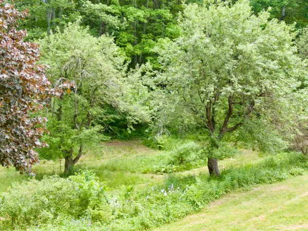 $325,000 | 459 Bat Hennesey Road, Moretown, VT 05660