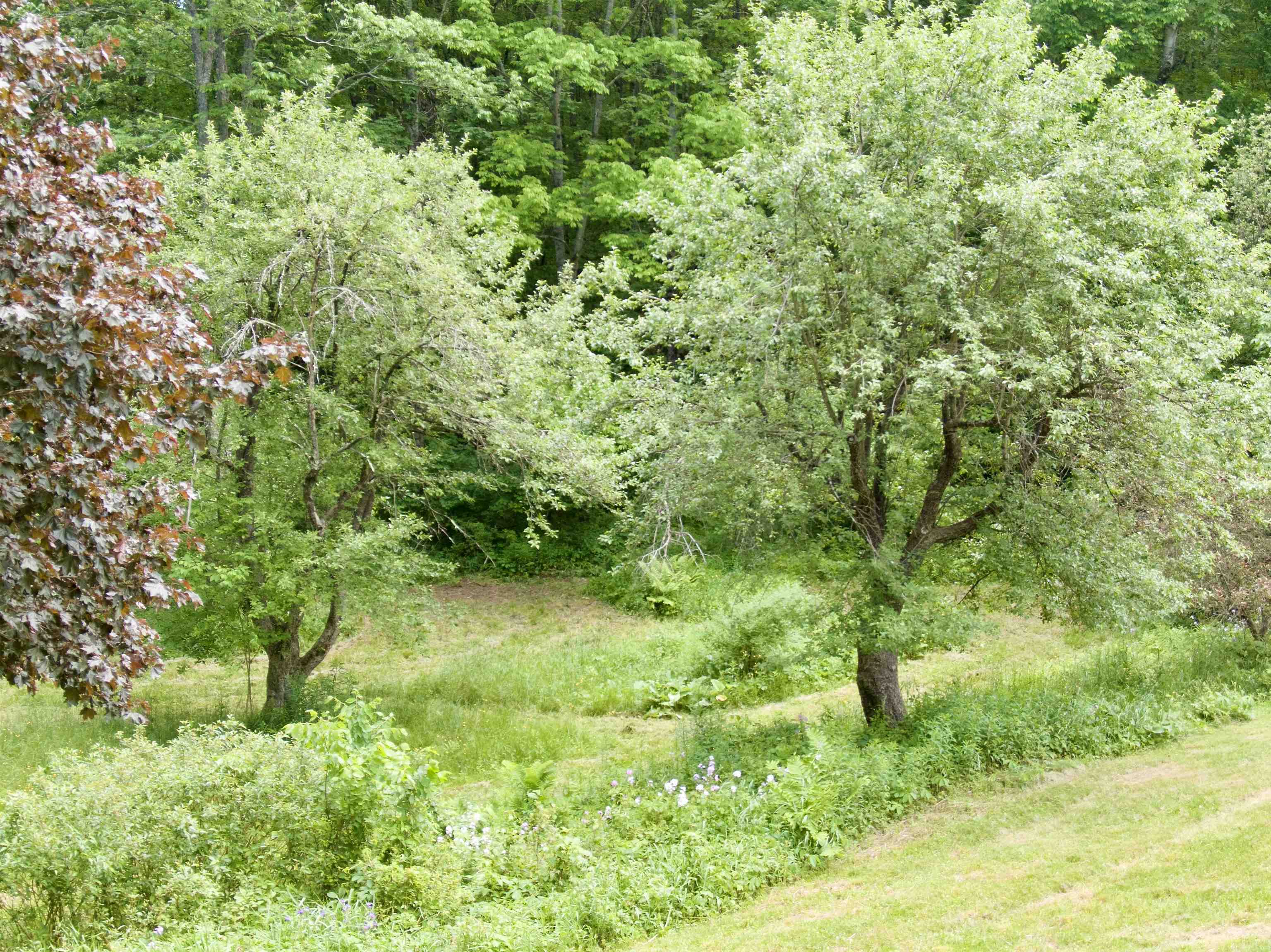 459 Bat Hennesey Road Moretown, VT 05660 - Photo 24 of 36