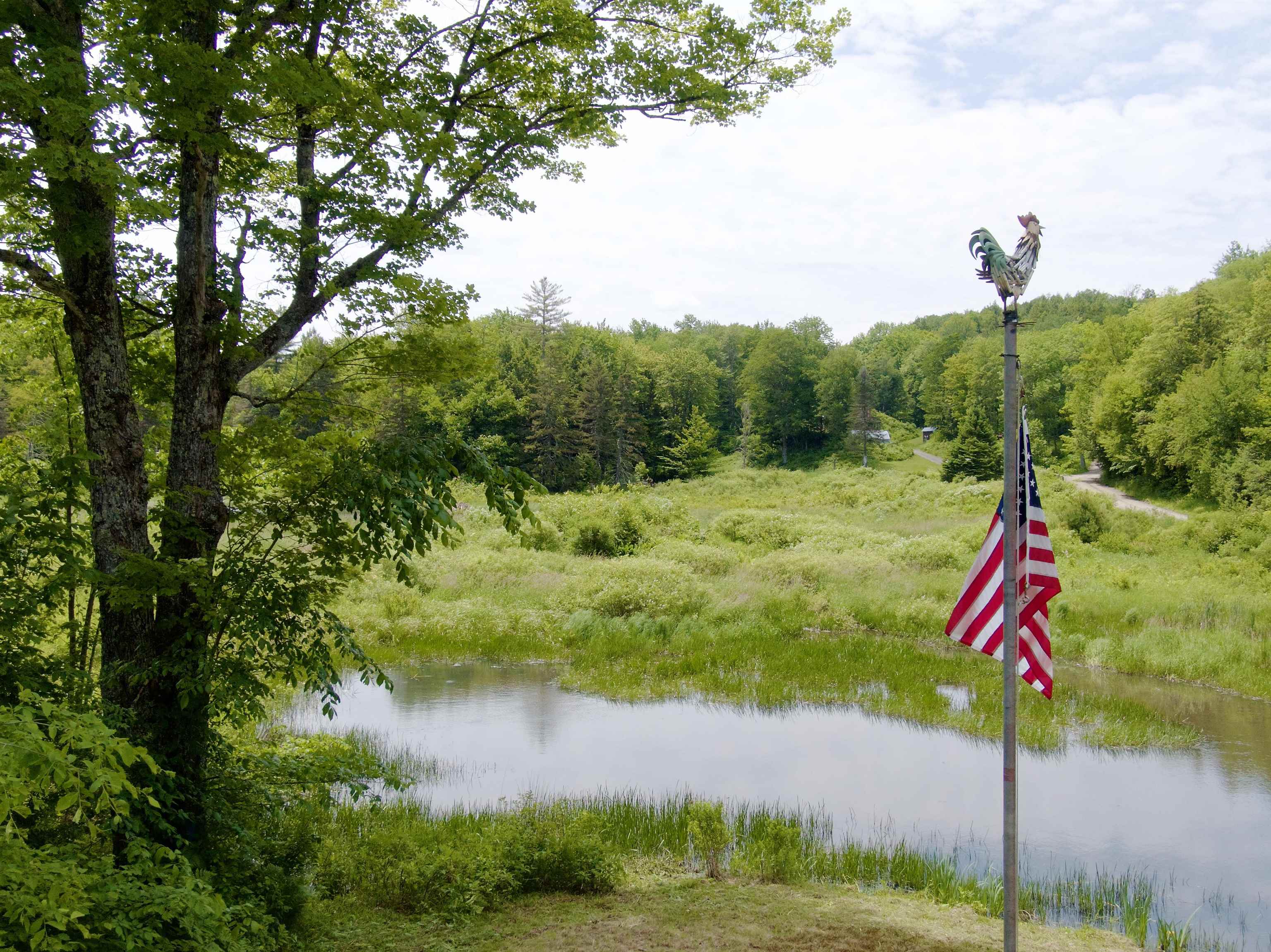 459 Bat Hennesey Road Moretown, VT 05660 - Photo 29 of 36