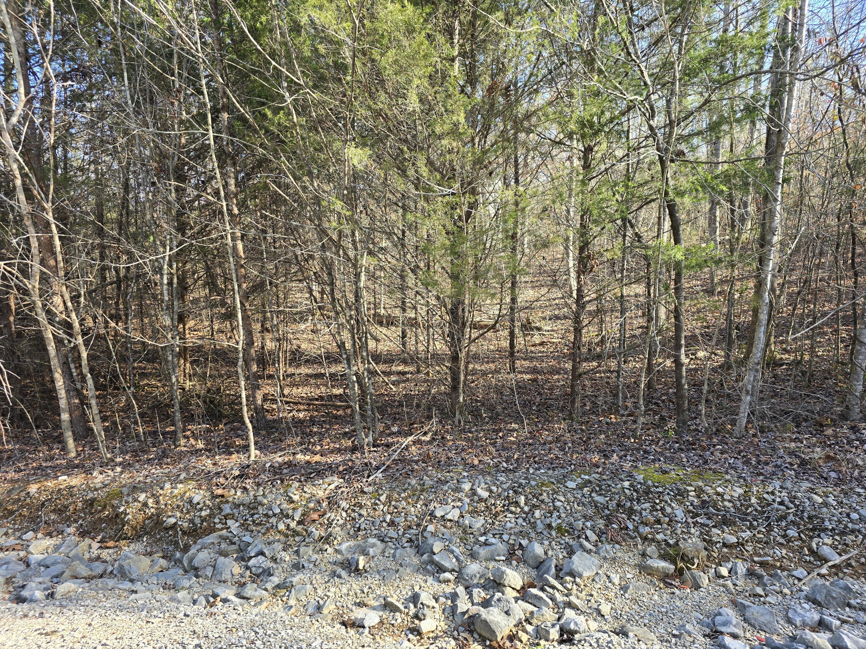 Lot 18 North Roberts Bend Road Burnside, KY 42519 - Photo 2 of 6 20251230_122246