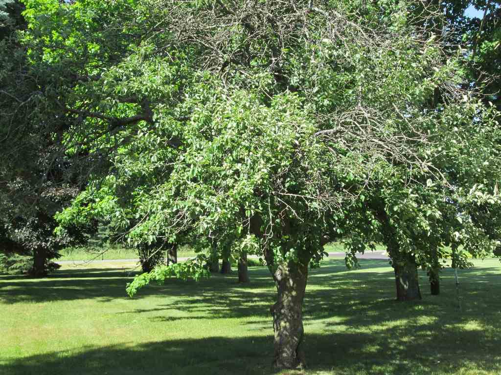3766 Spencer Road Southeast Kalkaska, MI 49646 - Photo 14 of 32 1835246-13.JPG